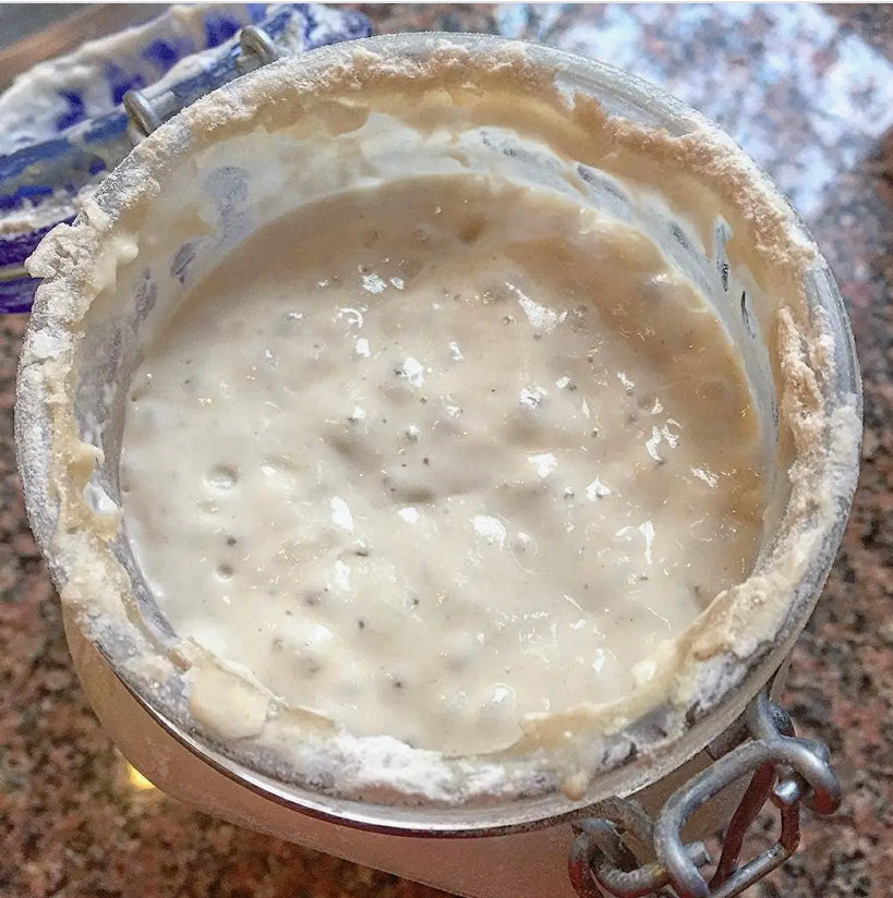 Sourdough Starter