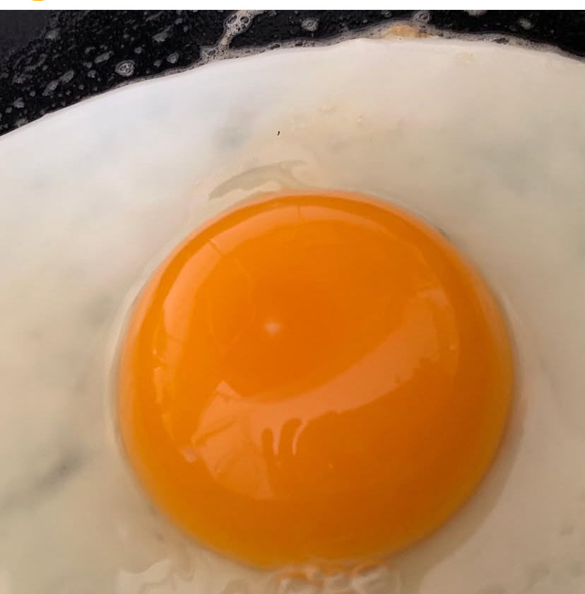 Ranch Raised Eggs (Does NOT Ship-Read Below)