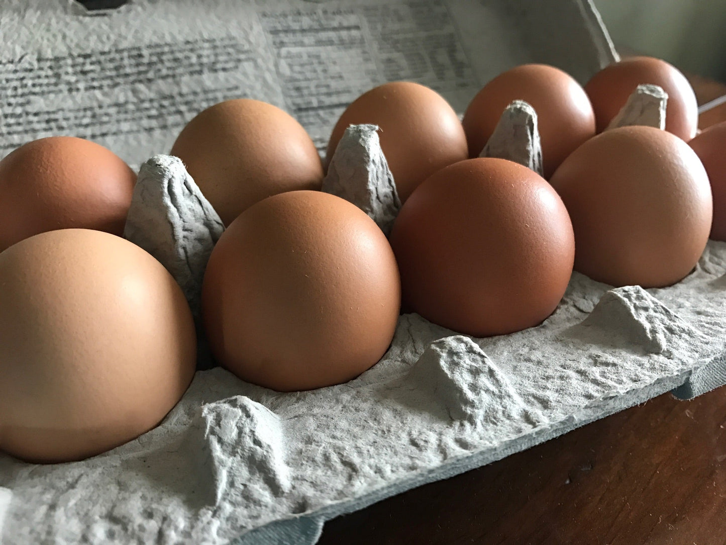 Ranch Raised Eggs (Does NOT Ship-Read Below)