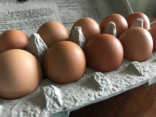 Ranch Raised Eggs (Does NOT Ship-Read Below)