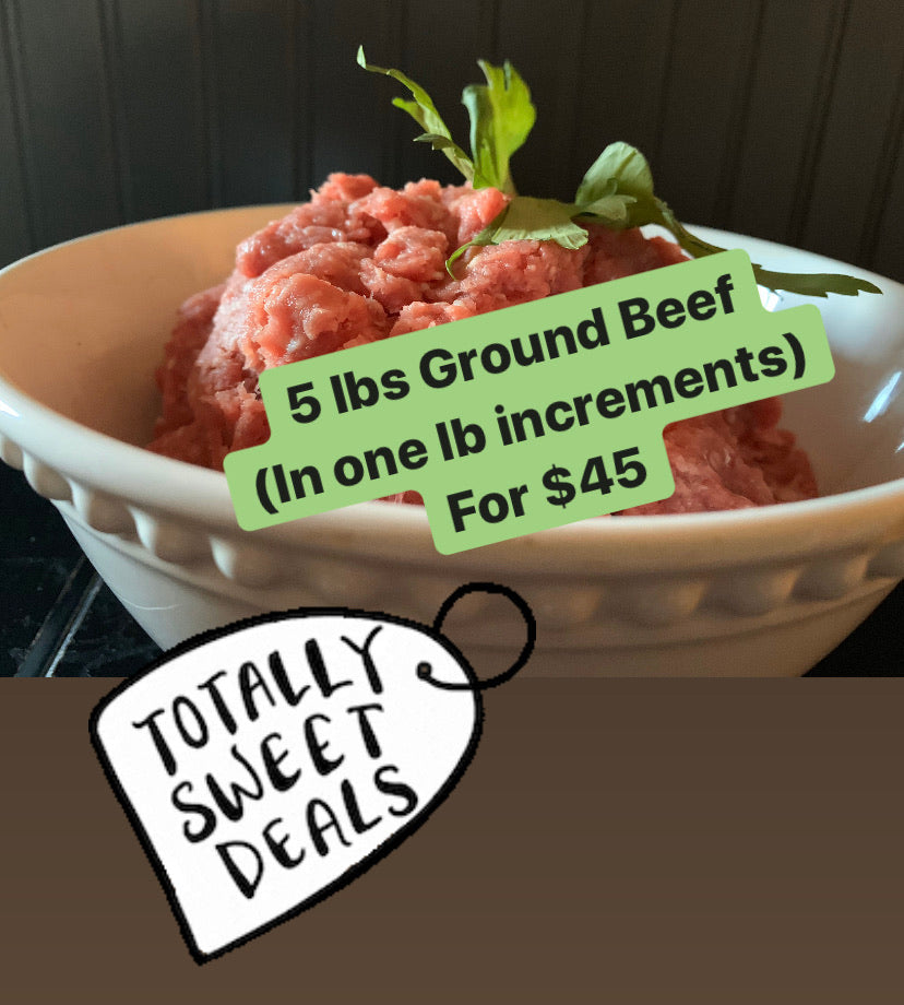 Ground Beef 1 lb x 5